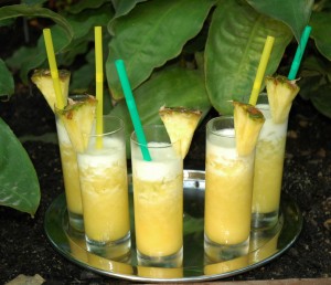 Cocktails Botanischer Garten
