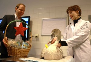 Tierklinik Düppel