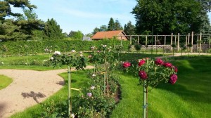 Königliche Gartenlehranstalt Foto: Denkmalschutzbehörde Steglitz-Zehlendorf