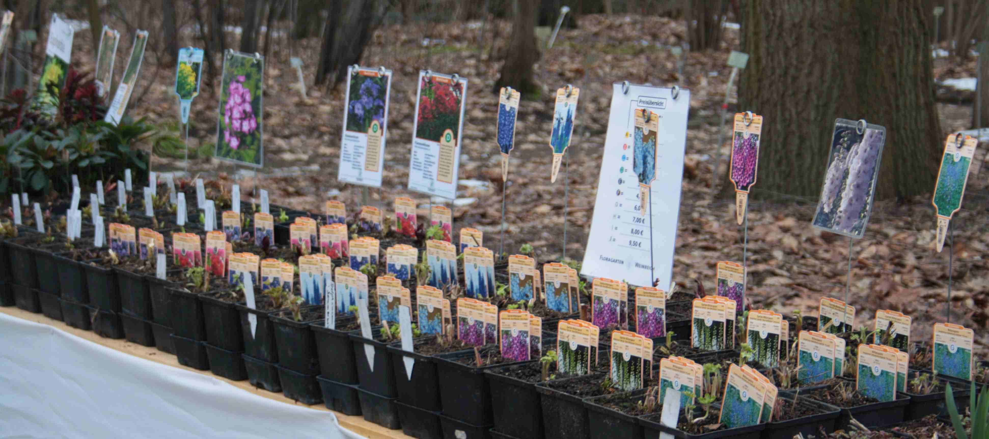 Zeit Fur Fruhling Staudenmarkt Im Botanischen Garten In