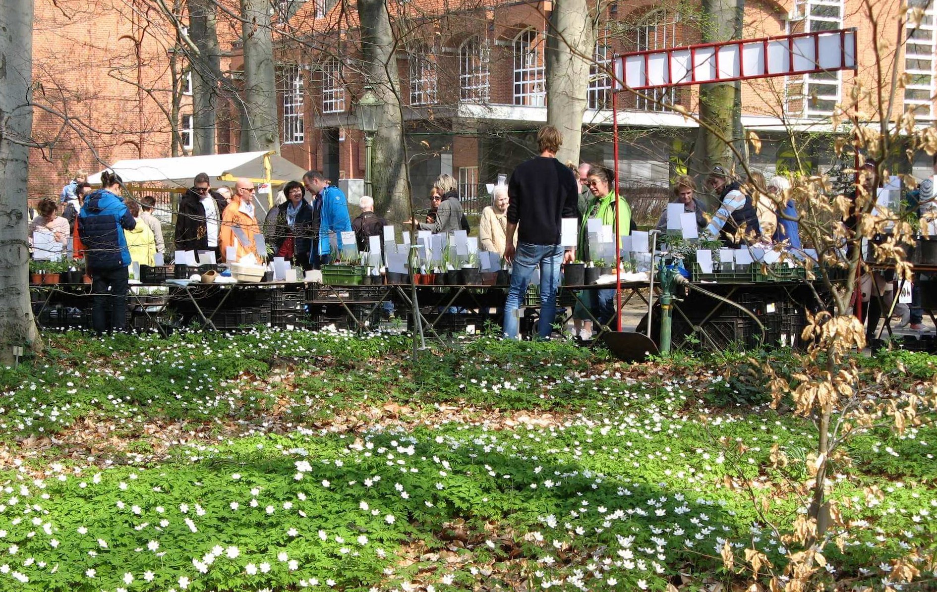 Staudenmarkt Lockt Am Wochenende In Den Botanischen Garten