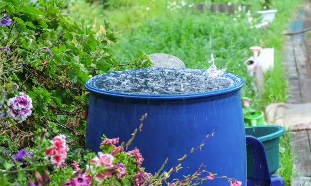 Initiative informiert rund um die Ressource Wasser