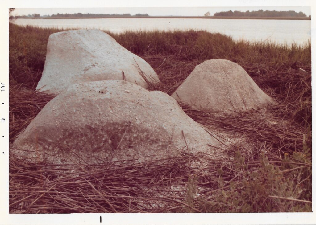 Beverly Buchanan, Marsh Ruins, 1981, Farbfotografie, 9x13 cm, Courtesy of the Estate of Beverly Buchanan und Andrew Edlin Gallery, New York