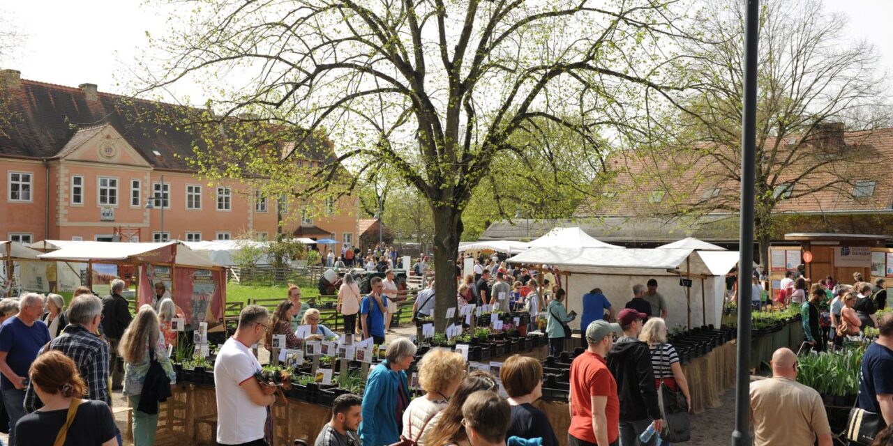 Berliner Staudenmarkt auf der Domäne Dahlem