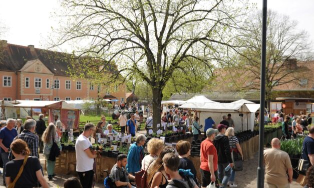 Berliner Staudenmarkt auf der Domäne Dahlem