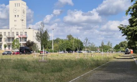 Platz des 4. Juli: Grünanlage ist fertiggestellt