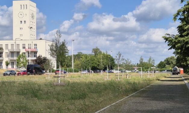 Platz des 4. Juli: Grünanlage ist fertiggestellt