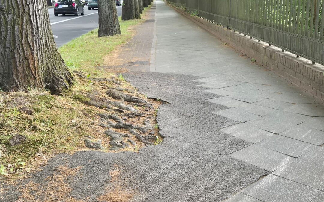Unter den Eichen: Radweg-Rückbau erfolgt nicht sofort