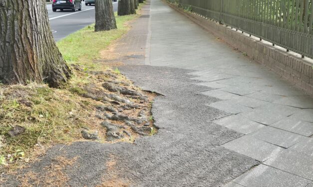 Unter den Eichen: Radweg-Rückbau erfolgt nicht sofort